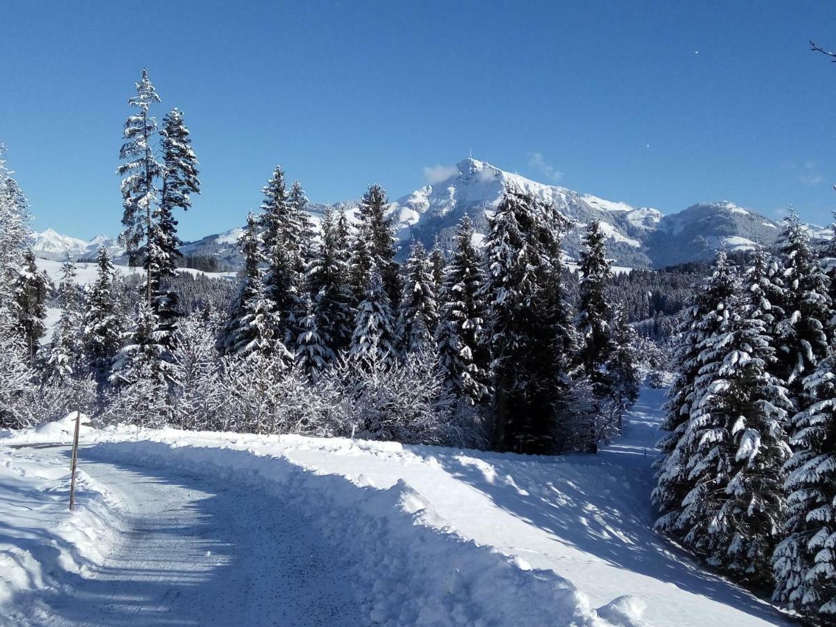 Marie Luise, Landhaus Reith bei Kitzbühel エクステリア 写真