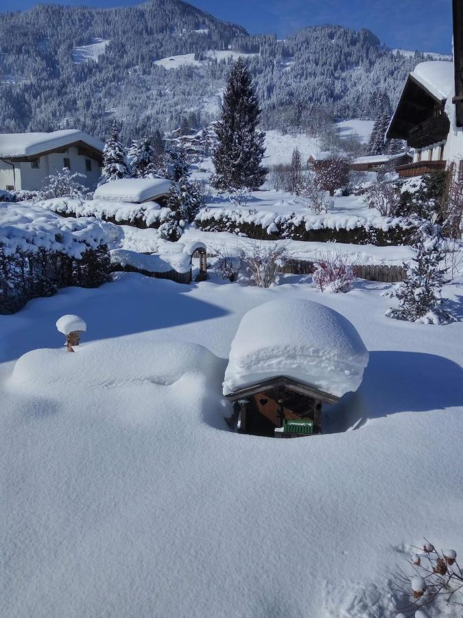 Marie Luise, Landhaus Reith bei Kitzbühel エクステリア 写真