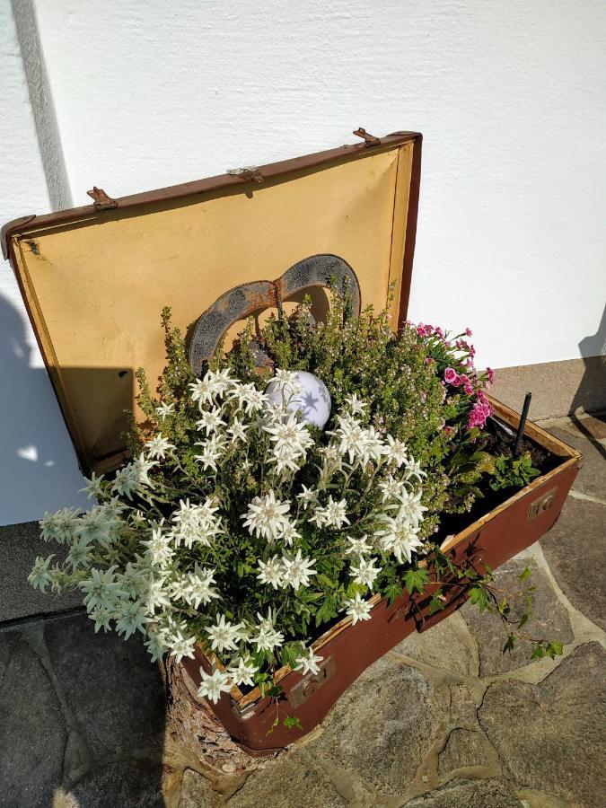 Marie Luise, Landhaus Reith bei Kitzbühel エクステリア 写真